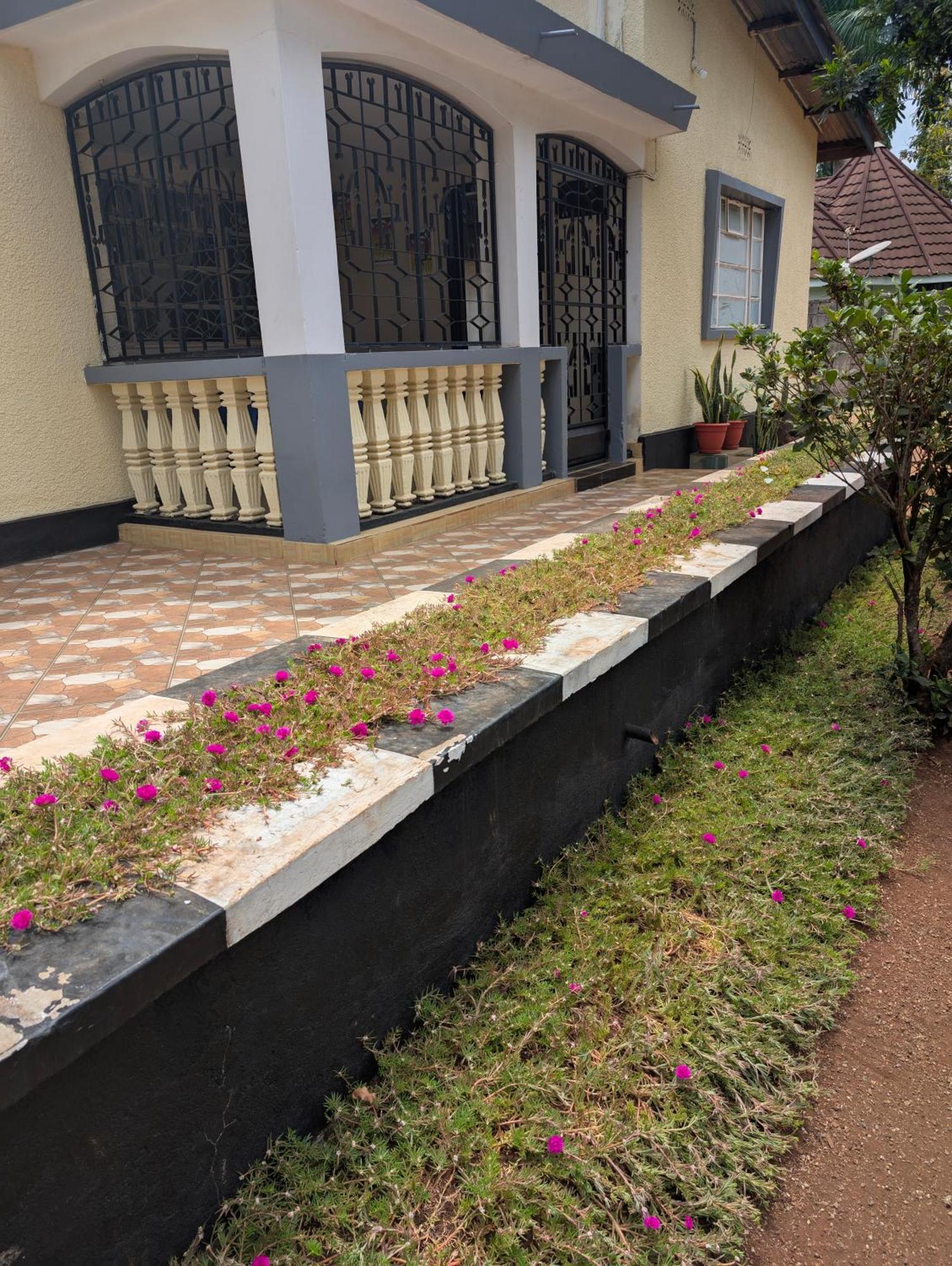 Dans Place Moshi Bagian luar foto
