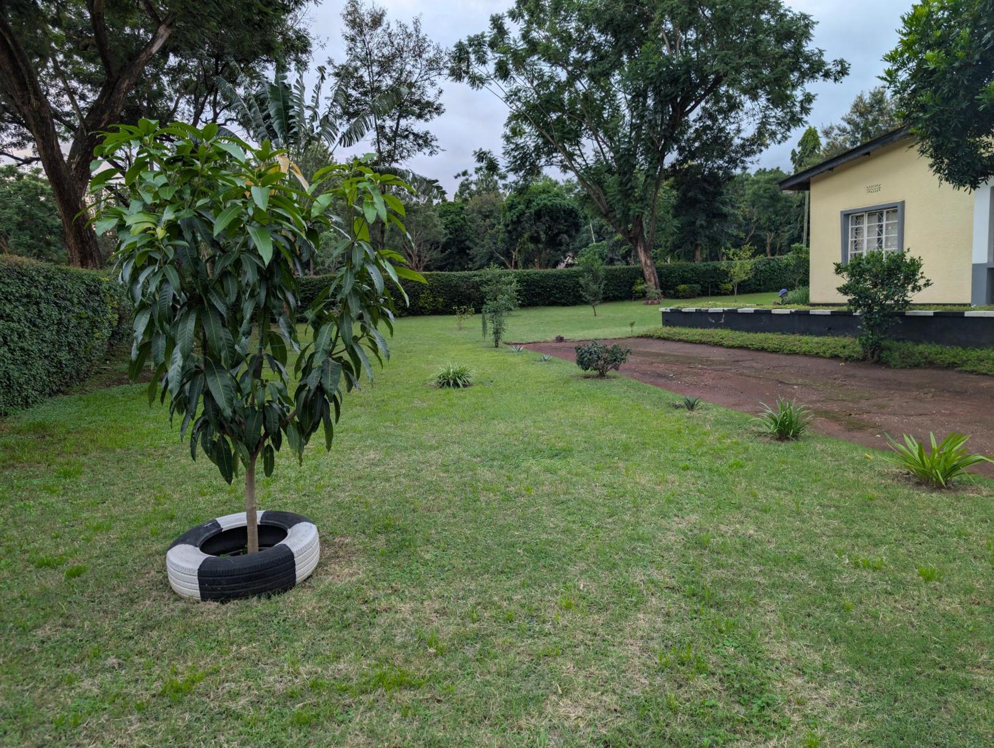 Dans Place Moshi Bagian luar foto